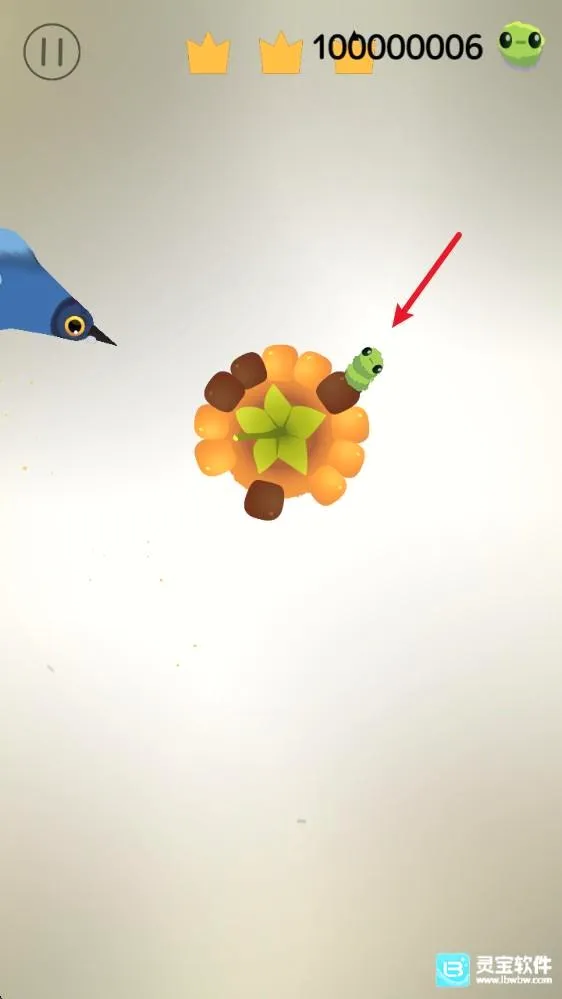 pigeonpop���ĸ���2026�ٷ�����