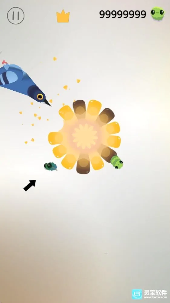 pigeonpop���ĸ�����Ϸ�淨1