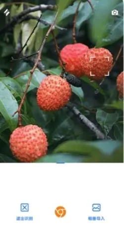 �þ���