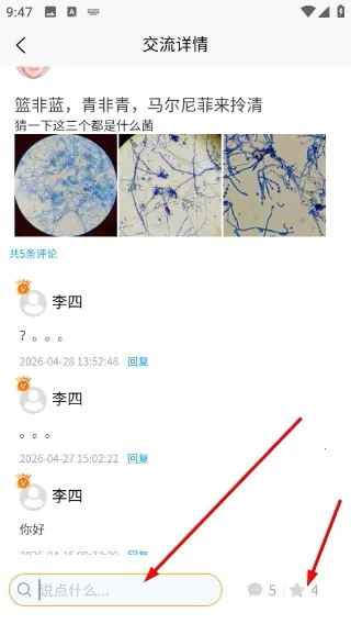 ����ʶ��(���ʶ�𹤾�)