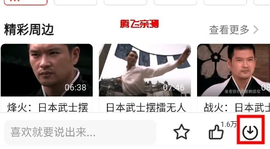 iVideo(iApp相关内容) iVideo(iApp相关内容)