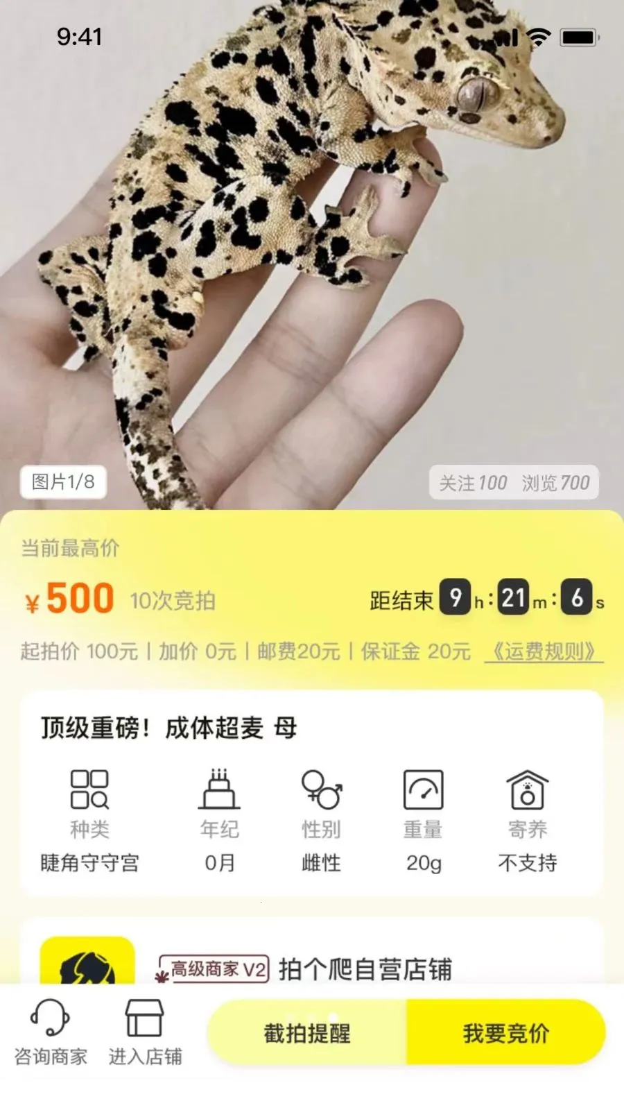 �ĸ���2026���°汾