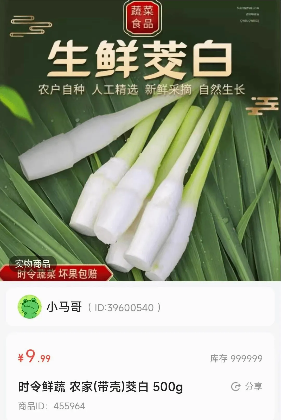 ��������2026���°汾