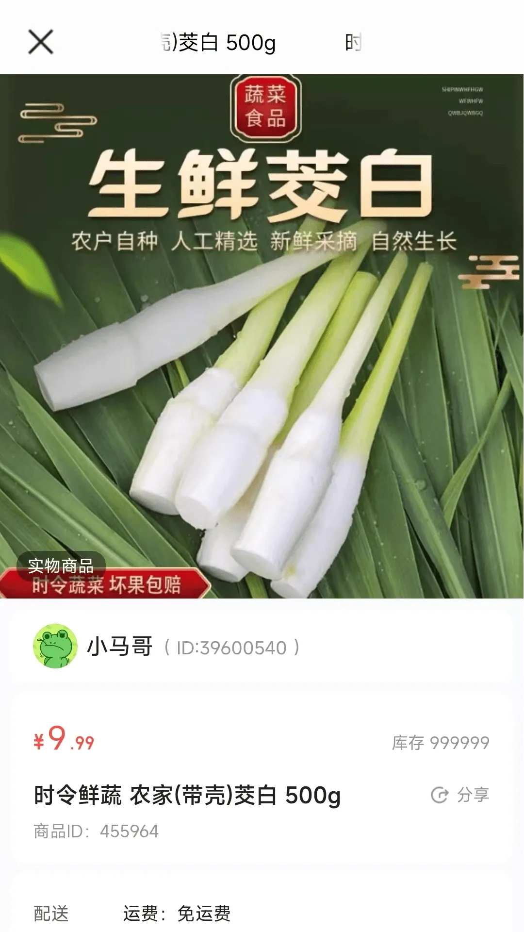 ��������2026���°汾